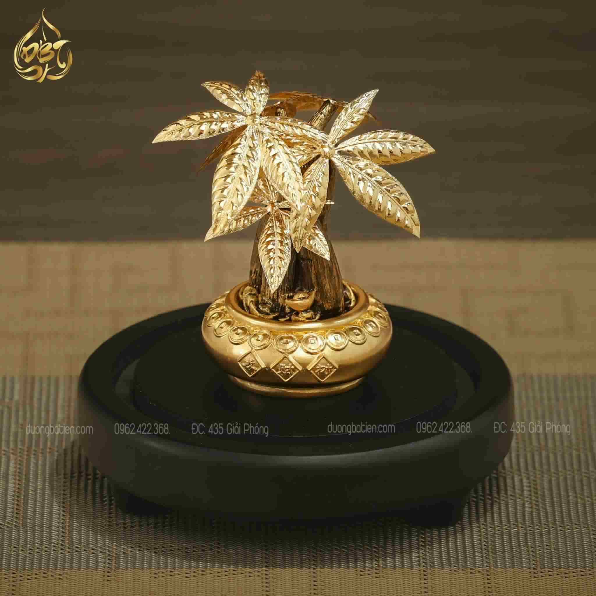 Cây Kim Ngân Cỡ Nhỏ Để Bàn KN2 – Quà Tặng Văn Phòng Tinh Tế